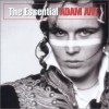 Essential Adam Ant